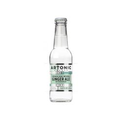 Tonic Drink Ginger Ale flavor 200ml