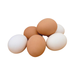 Eggs homemade pcs