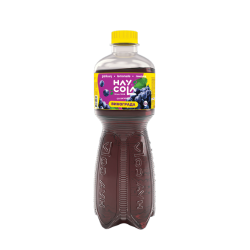 Carbonated drink grape 0.5l