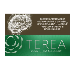 Heat-not-burn sticks Terea Green