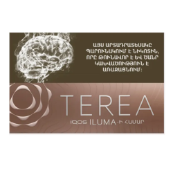 Heat-not-burn sticks Terea Teak