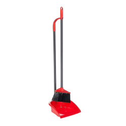 Dustpan with broom