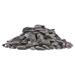 Sunflower seeds with salt kg