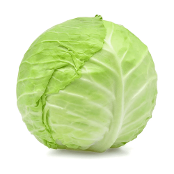 Young cabbage