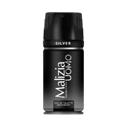 Men's Deodorant Spray Silver 150ml