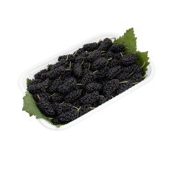 Mulberry black kg