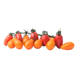 Cherry tomatoes Edolin kg