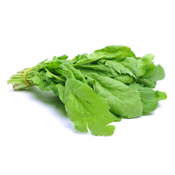 Կոտեմ
