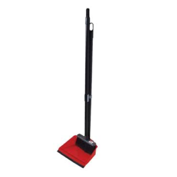 Dustpan with broom