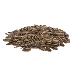 Sunflower seeds striped kg