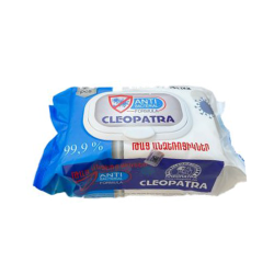 Wet Wipes Antibacterial x120