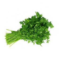 Coriander
