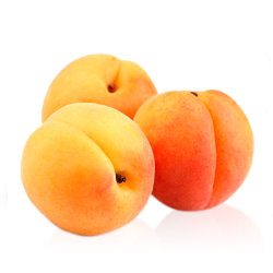 Apricot